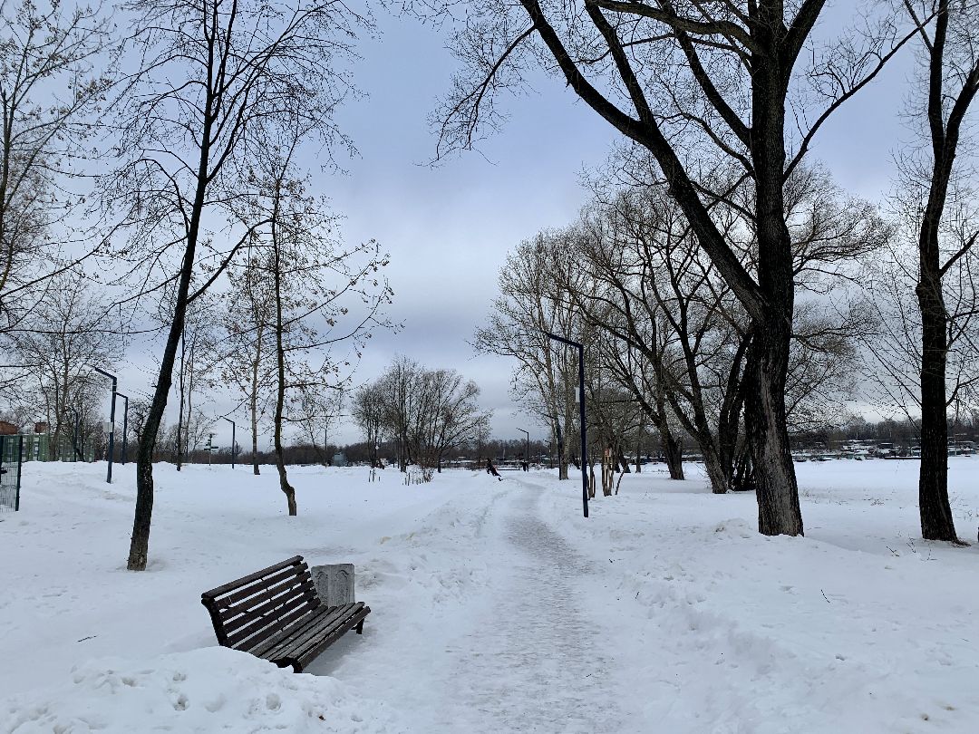 #долгопрудный #подмосковье #парк #благоустройство #реконструкция