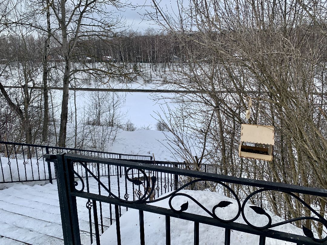 #долгопрудный #подмосковье #парк #благоустройство #реконструкция