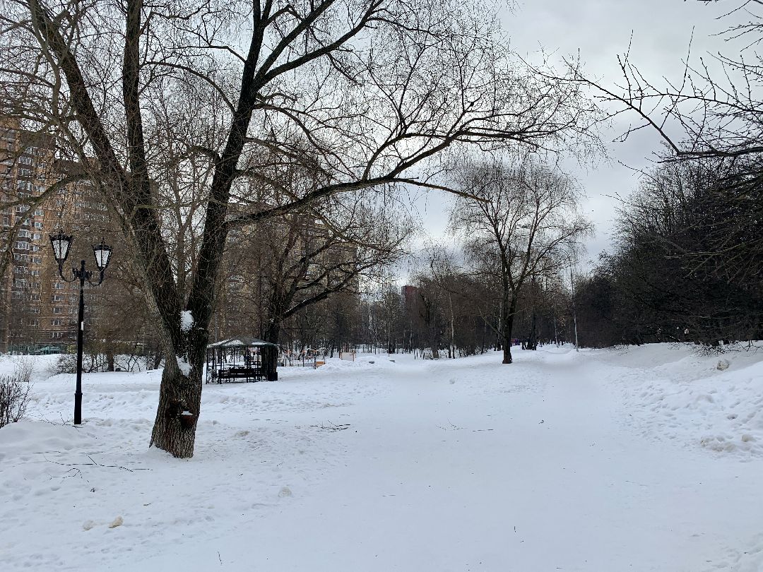 #долгопрудный #подмосковье #парк #благоустройство #реконструкция