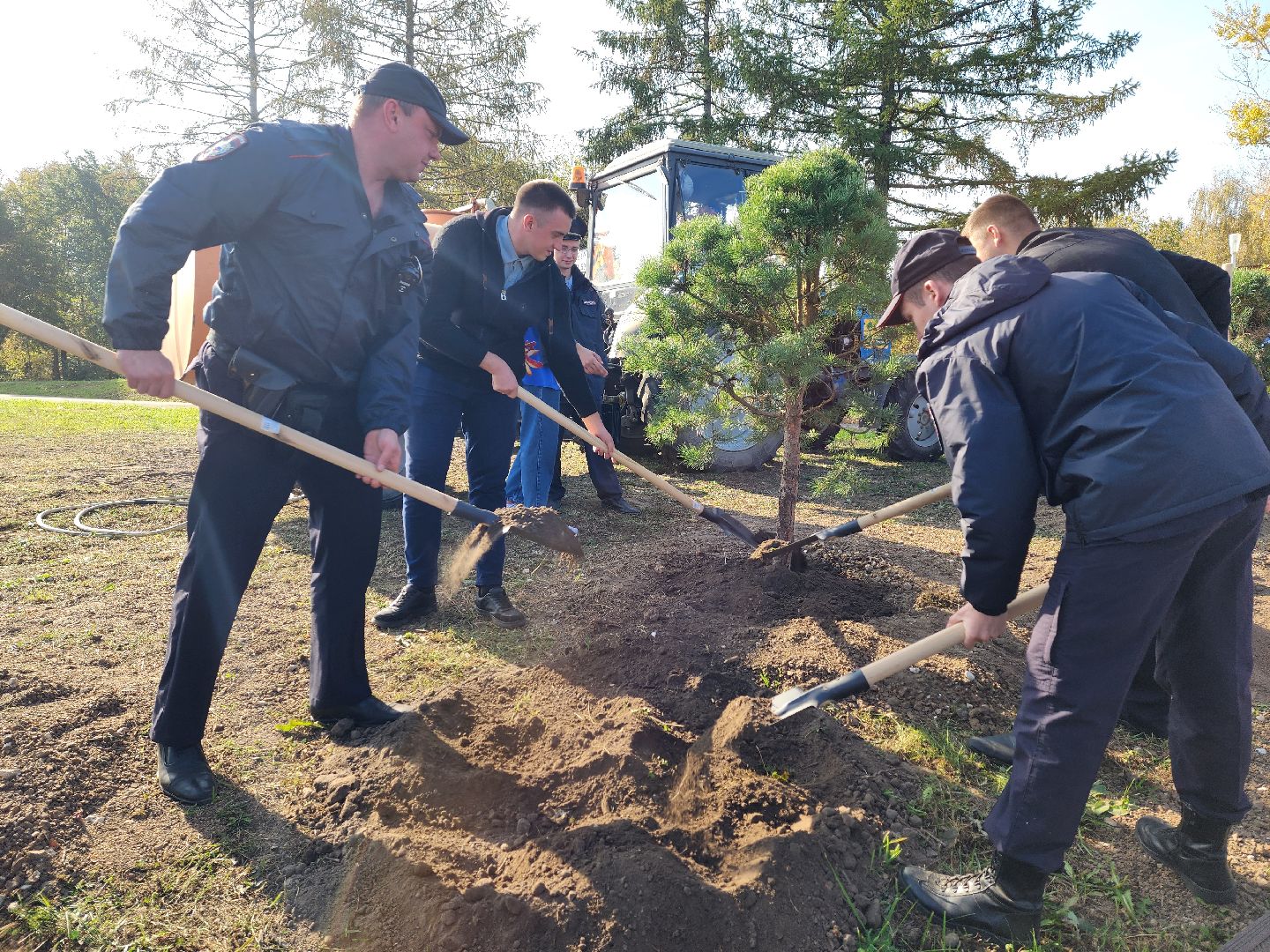 воскресенск, наш лес, сосны, благоуйстройство, жители,
