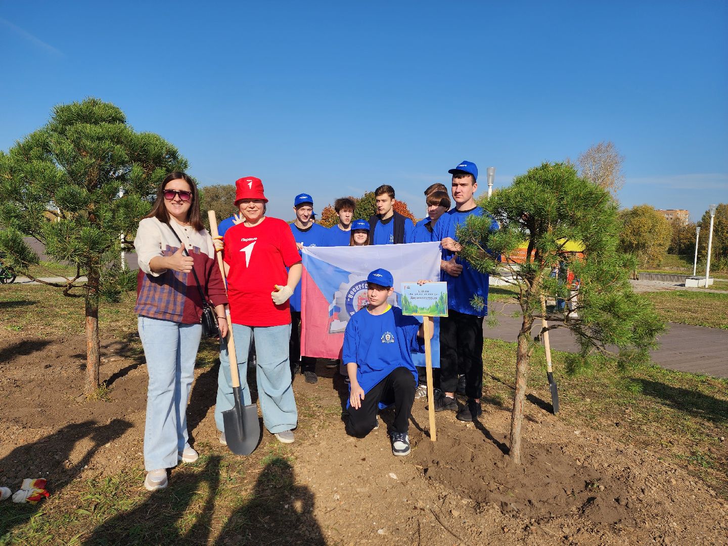 воскресенск, наш лес, сосны, благоуйстройство, жители,