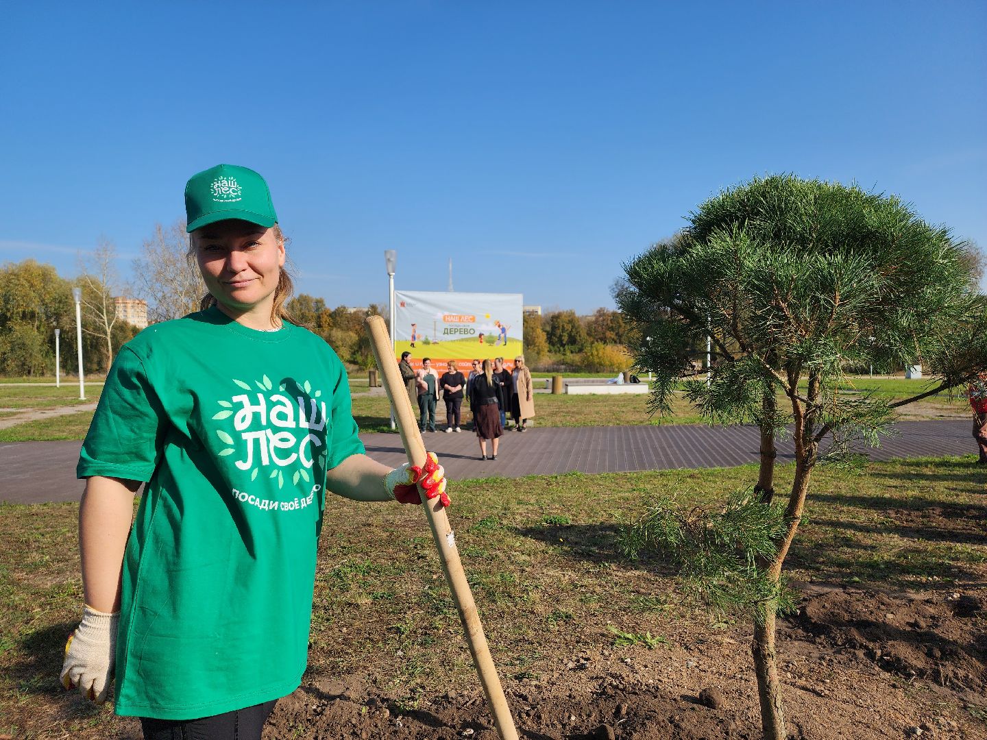 воскресенск, наш лес, сосны, благоуйстройство, жители,