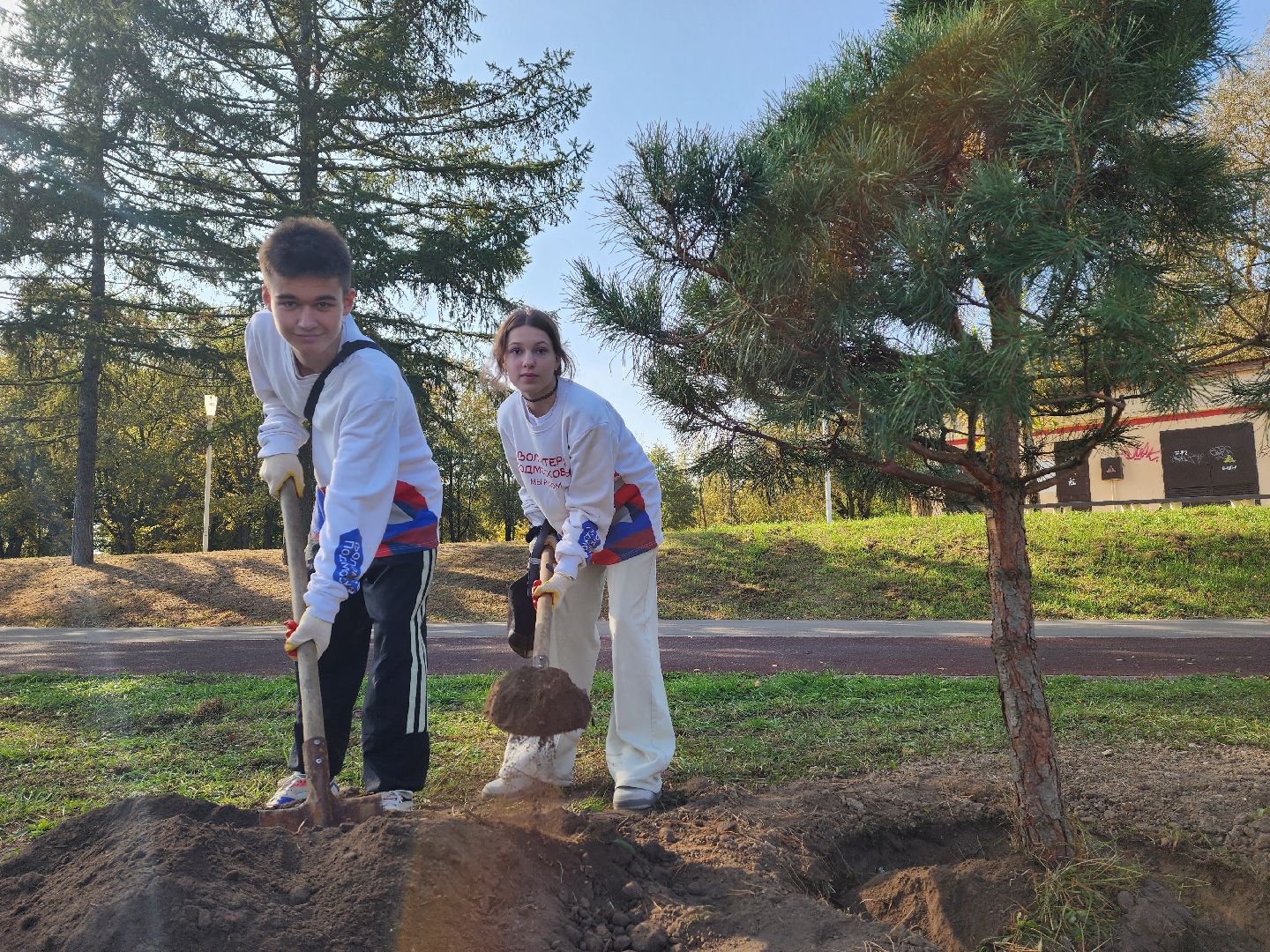 воскресенск, наш лес, сосны, благоуйстройство, жители,