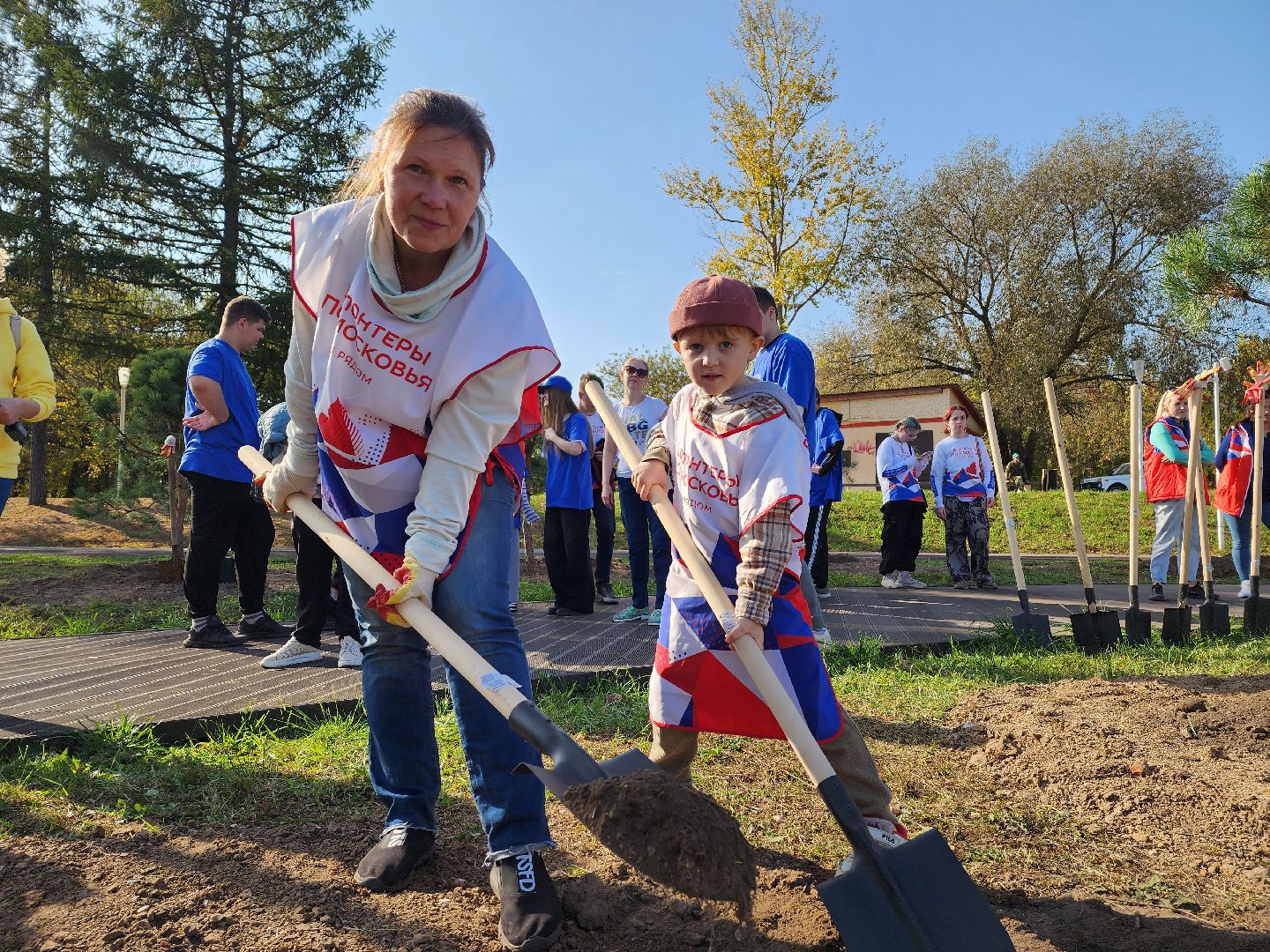 воскресенск, наш лес, сосны, благоуйстройство, жители,