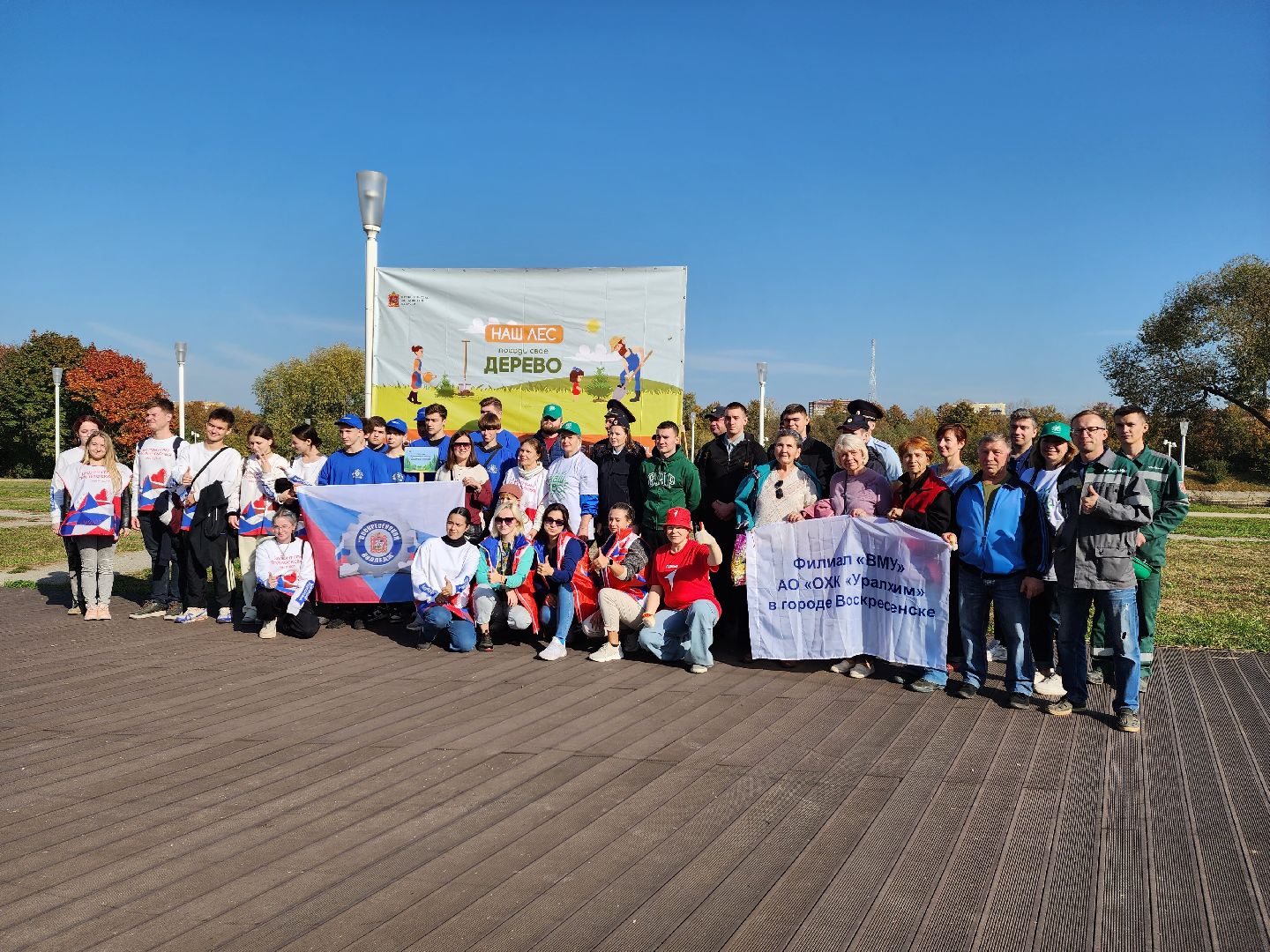 воскресенск, наш лес, сосны, благоуйстройство, жители,