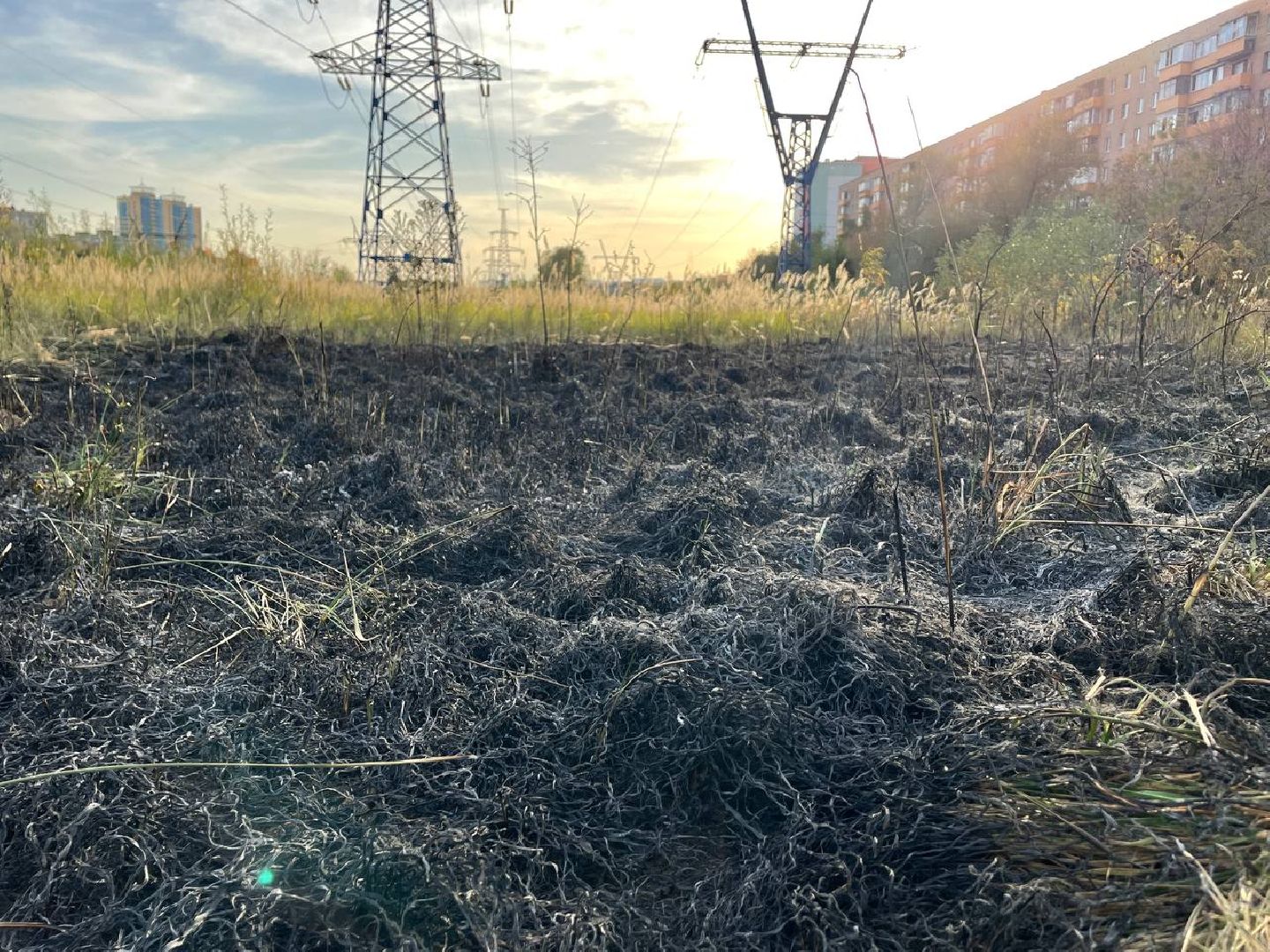 Реутов, Трава, Горение, МЧС,