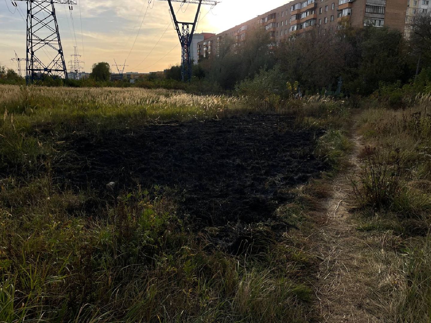 Реутов, Трава, Горение, МЧС,