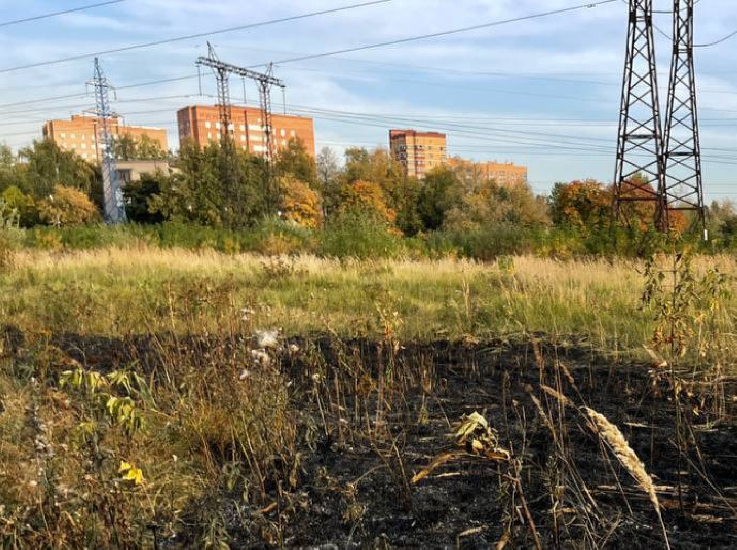 Реутов, Трава, Горение, МЧС,