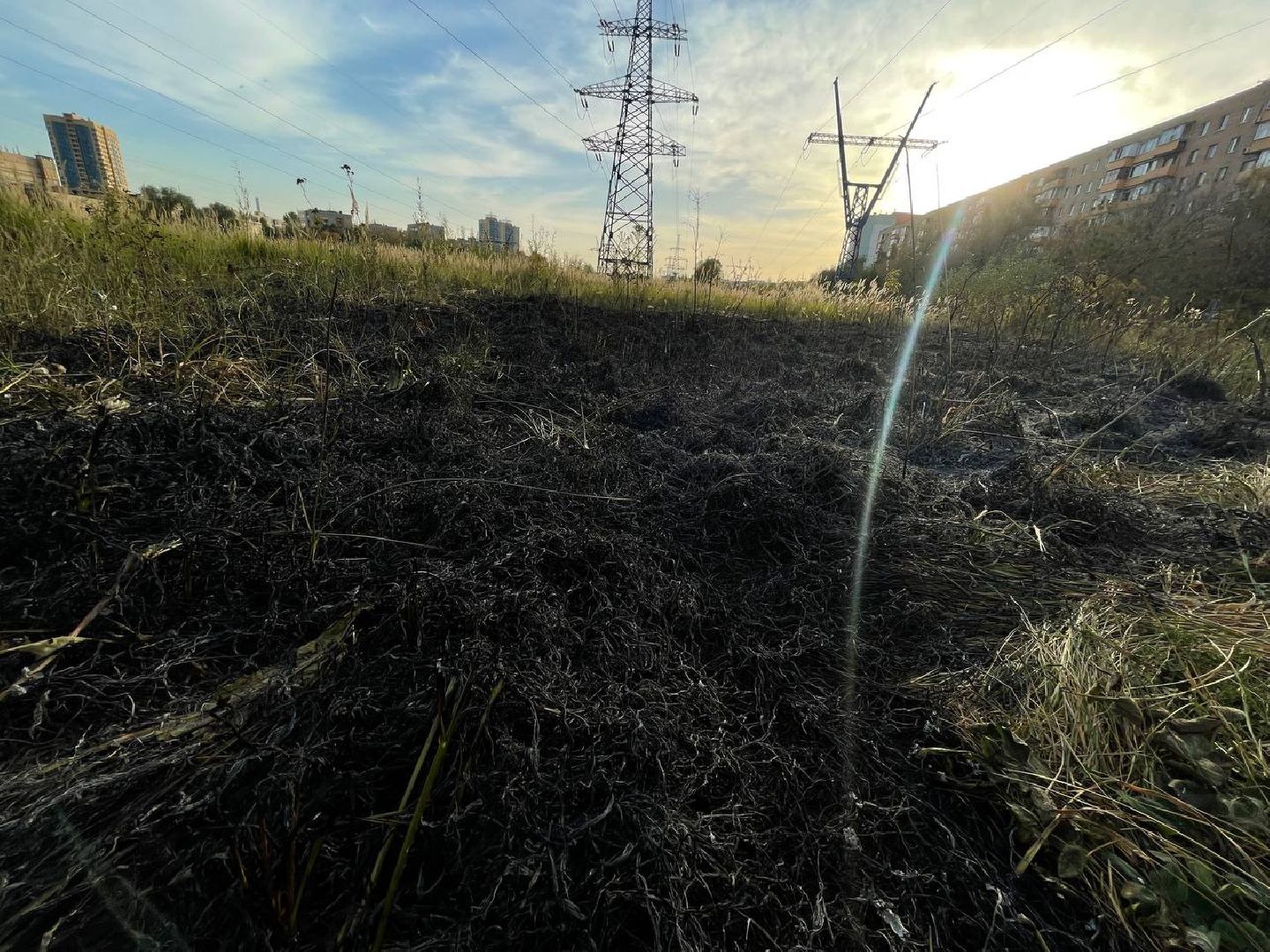 Реутов, Трава, Горение, МЧС,