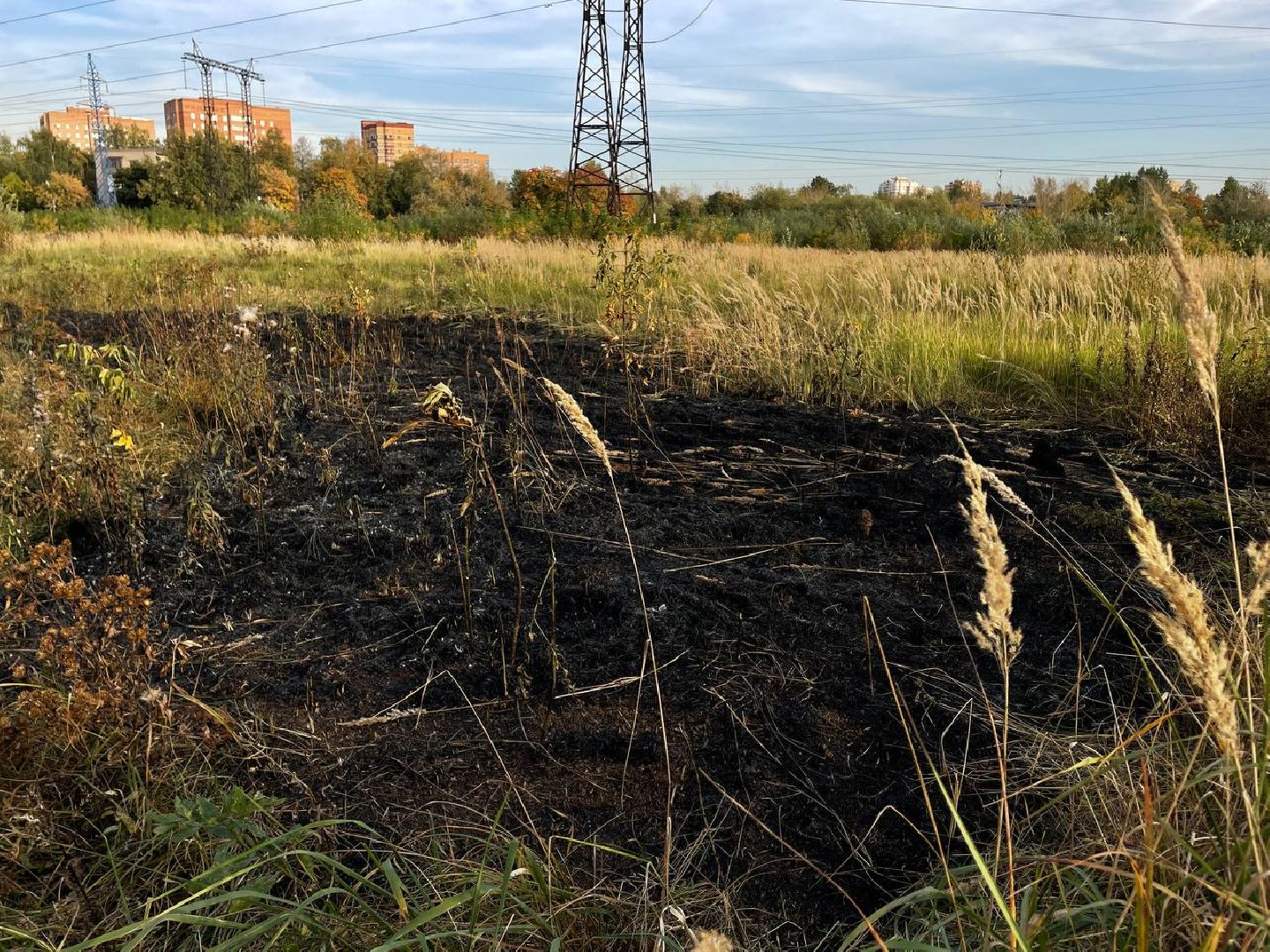 Реутов, Трава, Горение, МЧС,