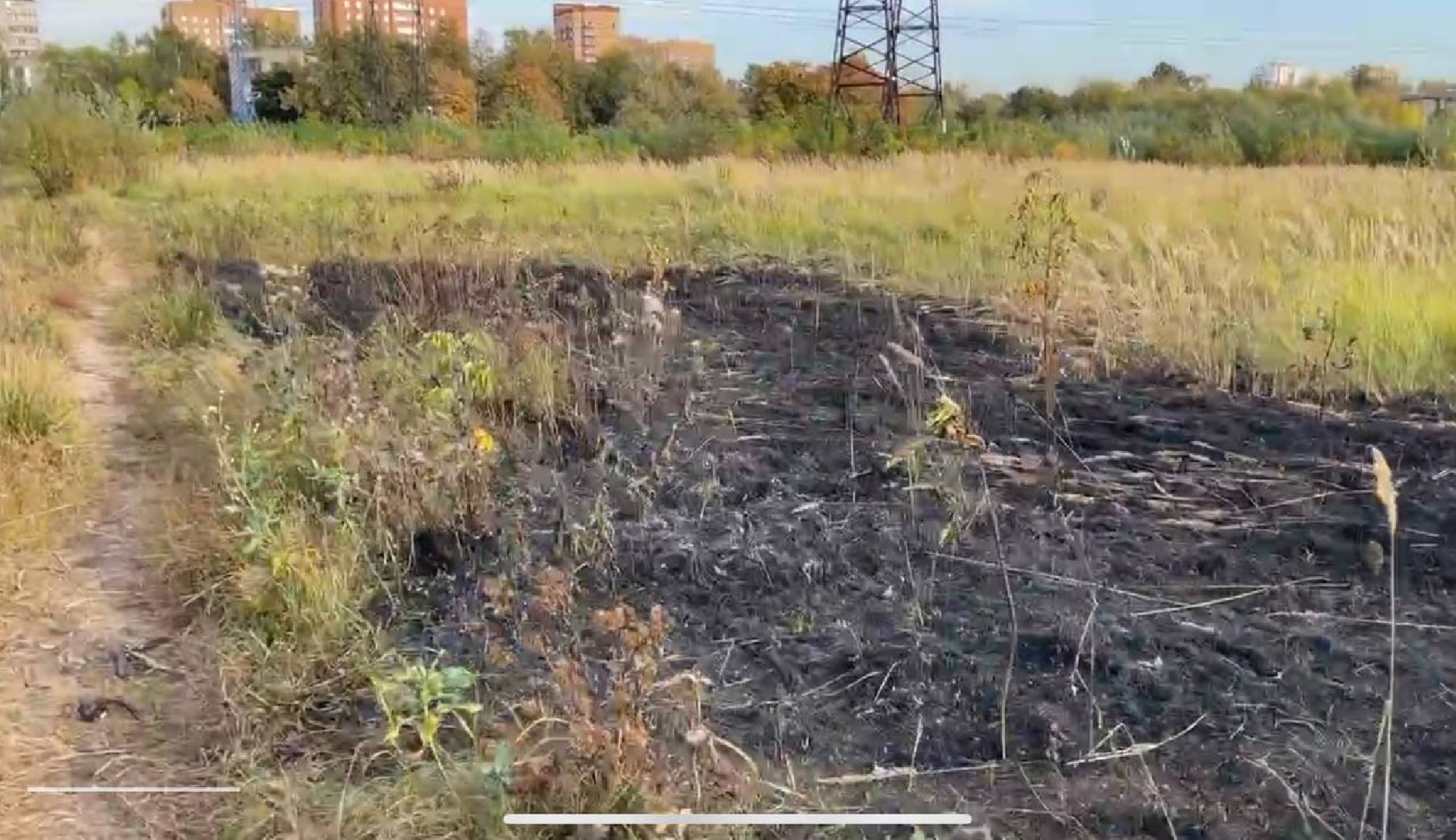 Реутов, Трава, Горение, МЧС,