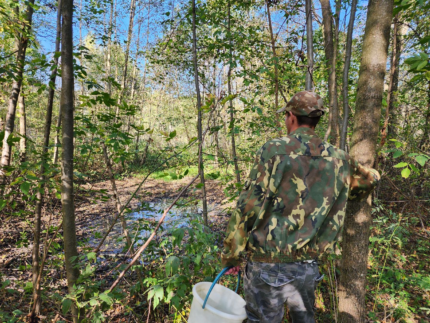подмосковье, спасатель, грибники, лес, безопасность, московская область,