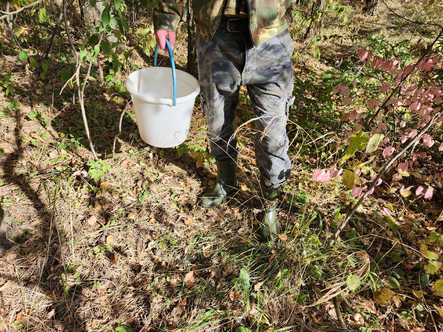 подмосковье, спасатель, грибники, лес, безопасность, московская область,