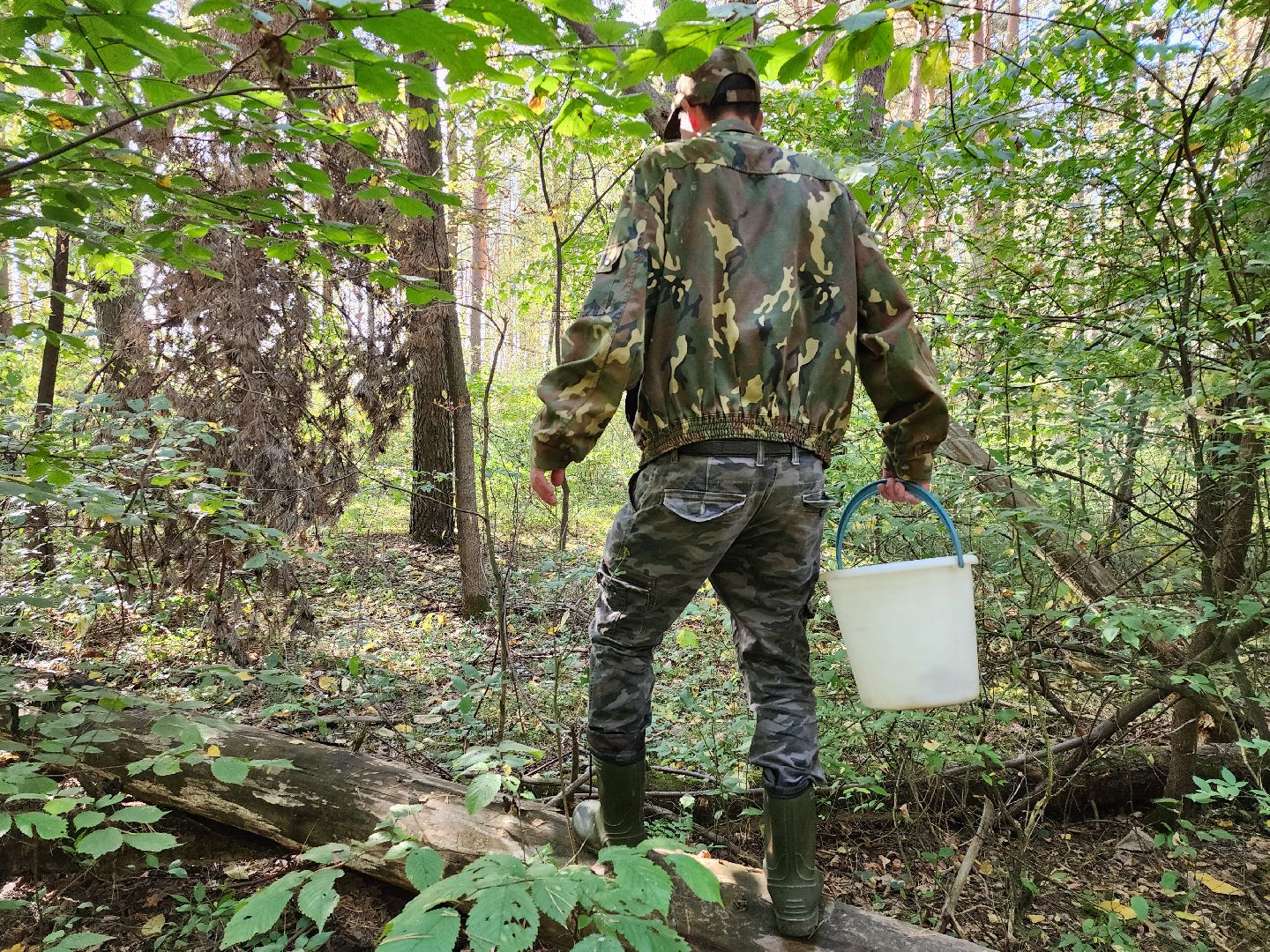 подмосковье, спасатель, грибники, лес, безопасность, московская область,