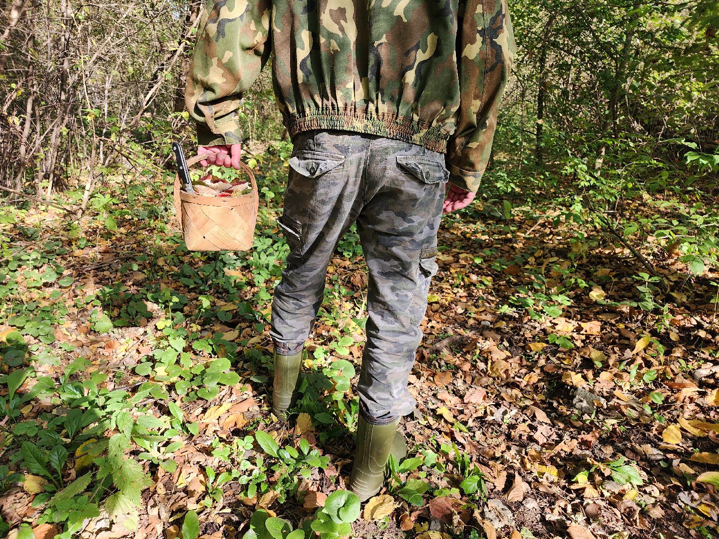 подмосковье, спасатель, грибники, лес, безопасность, московская область,