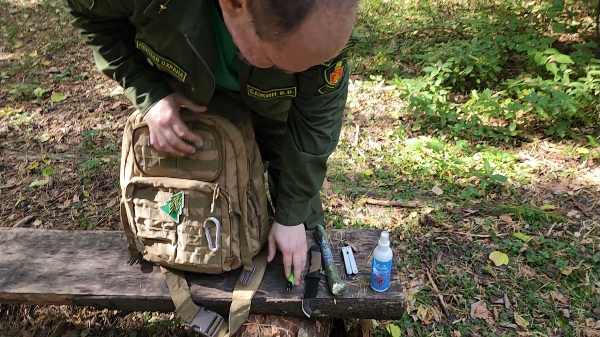 подольск, грибы, лес,