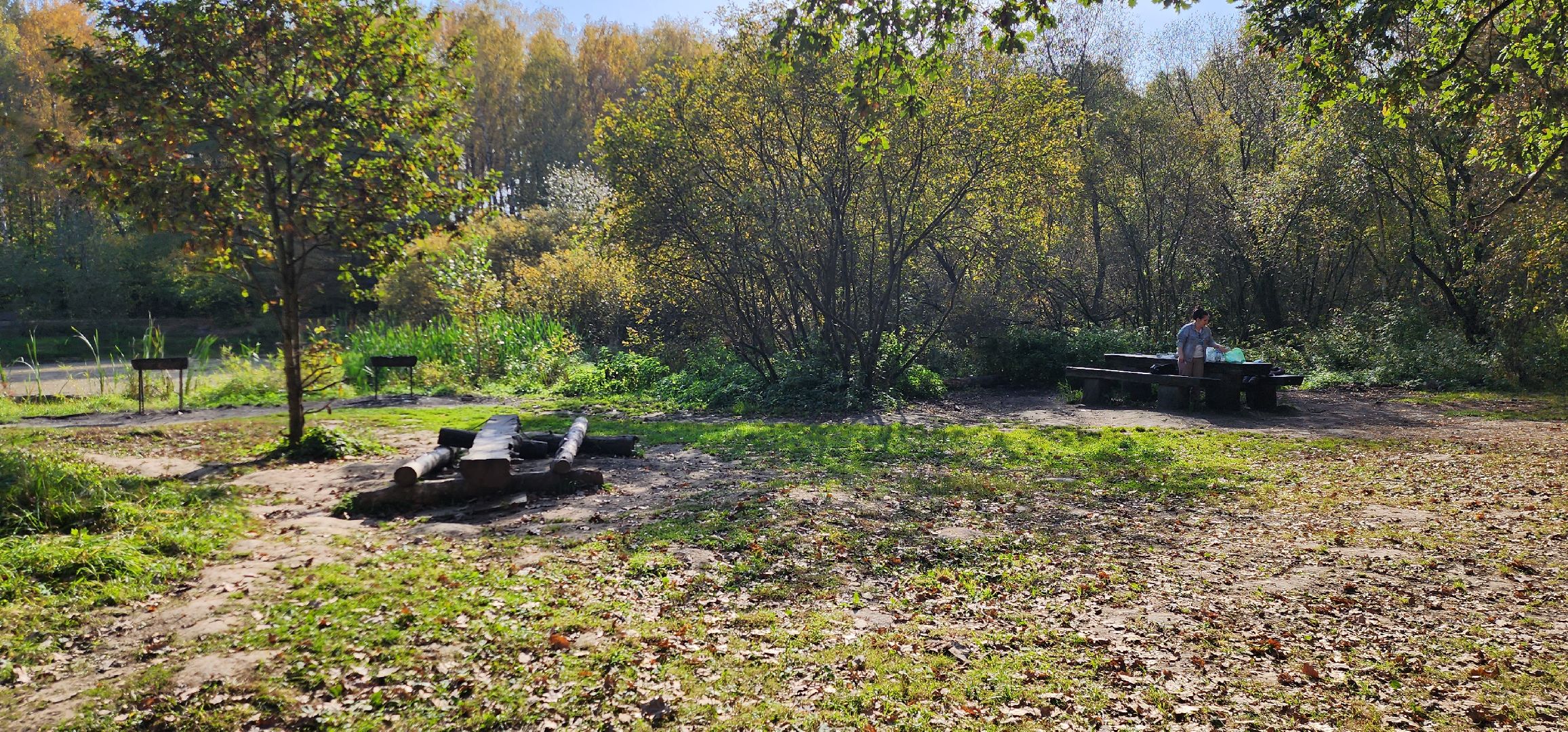 подольск, грибы, лес,