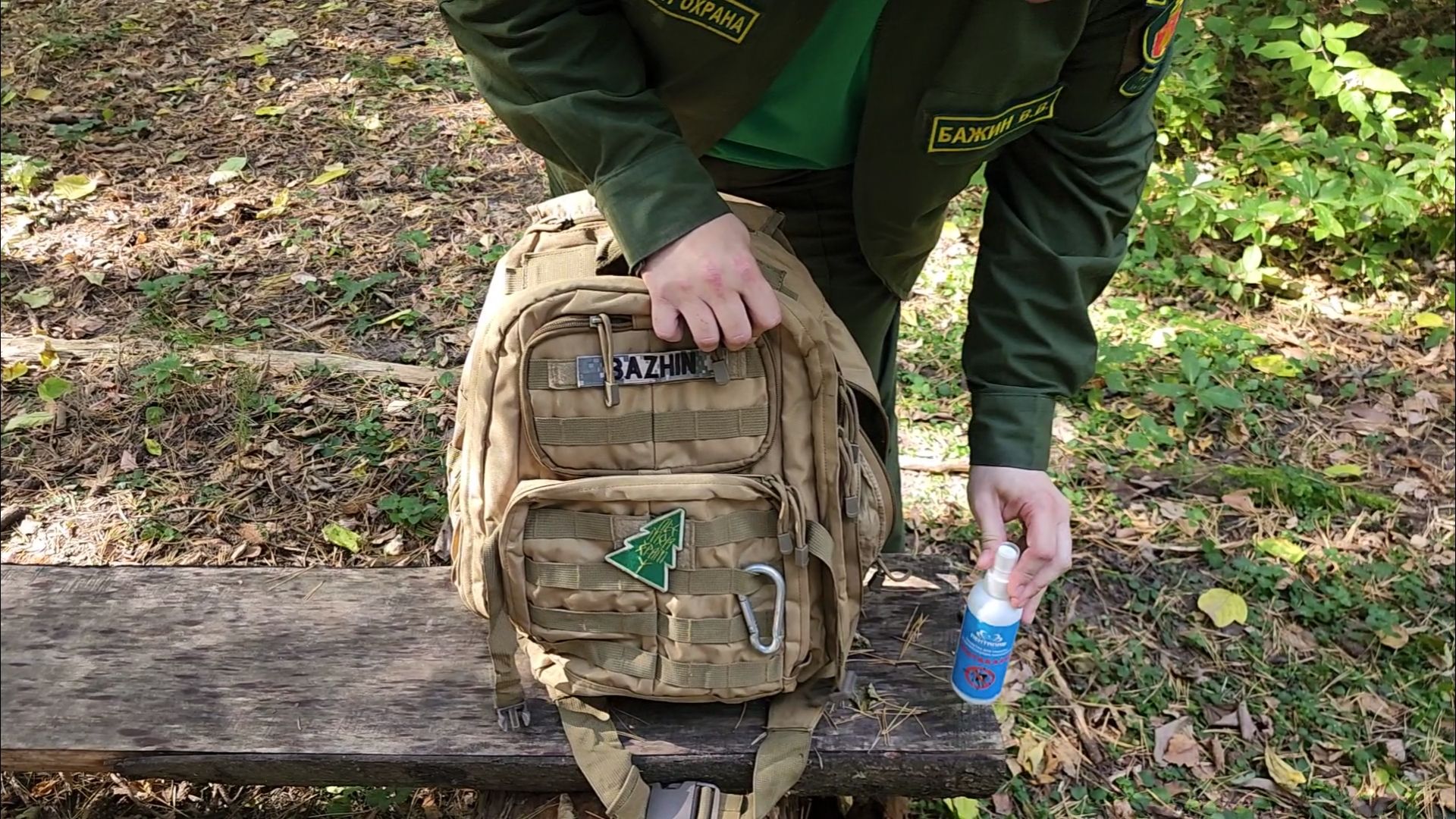 подольск, грибы, лес,