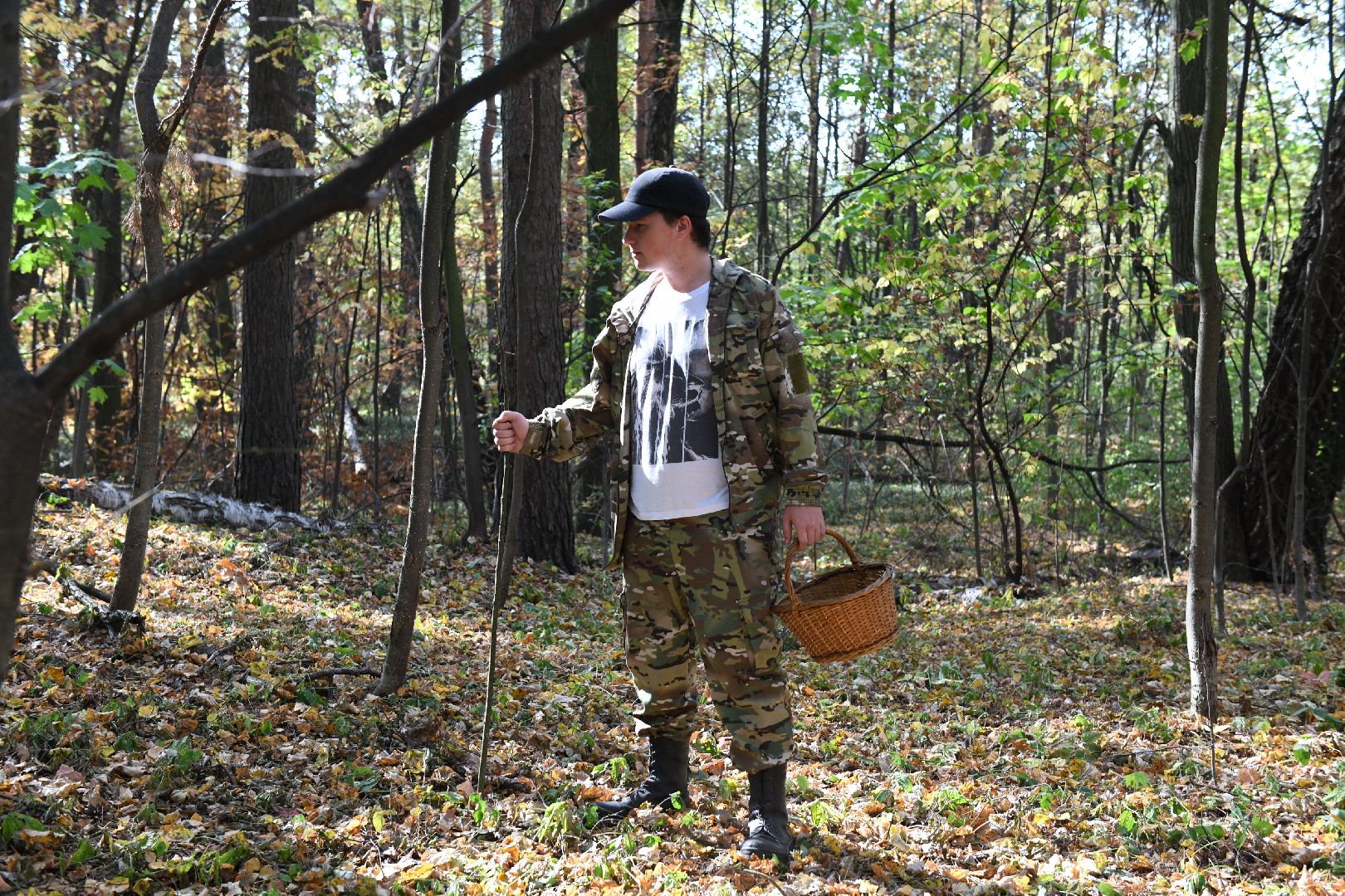 лыткарино, общество, грибы, лес, грибник,