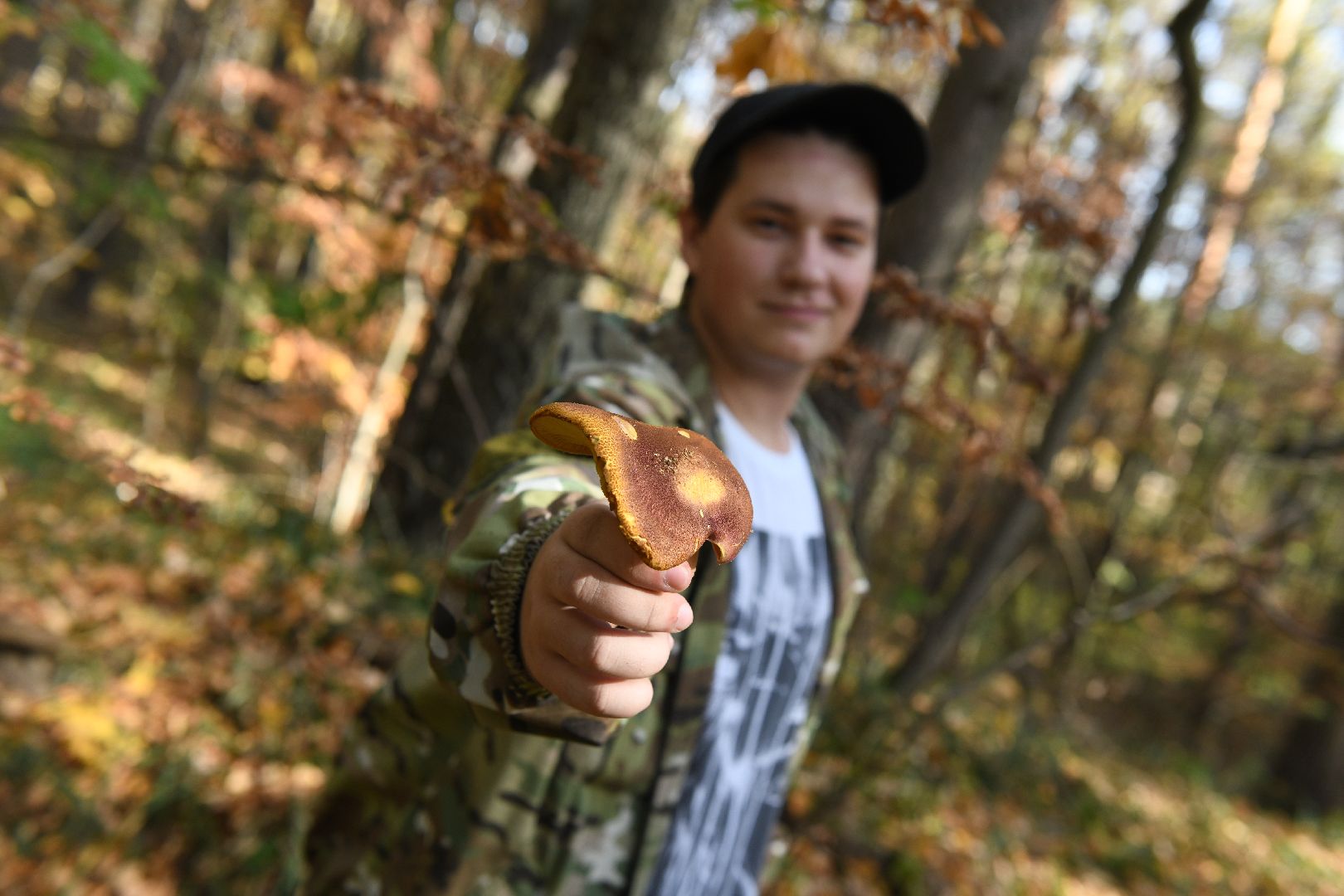 лыткарино, общество, грибы, лес, грибник,