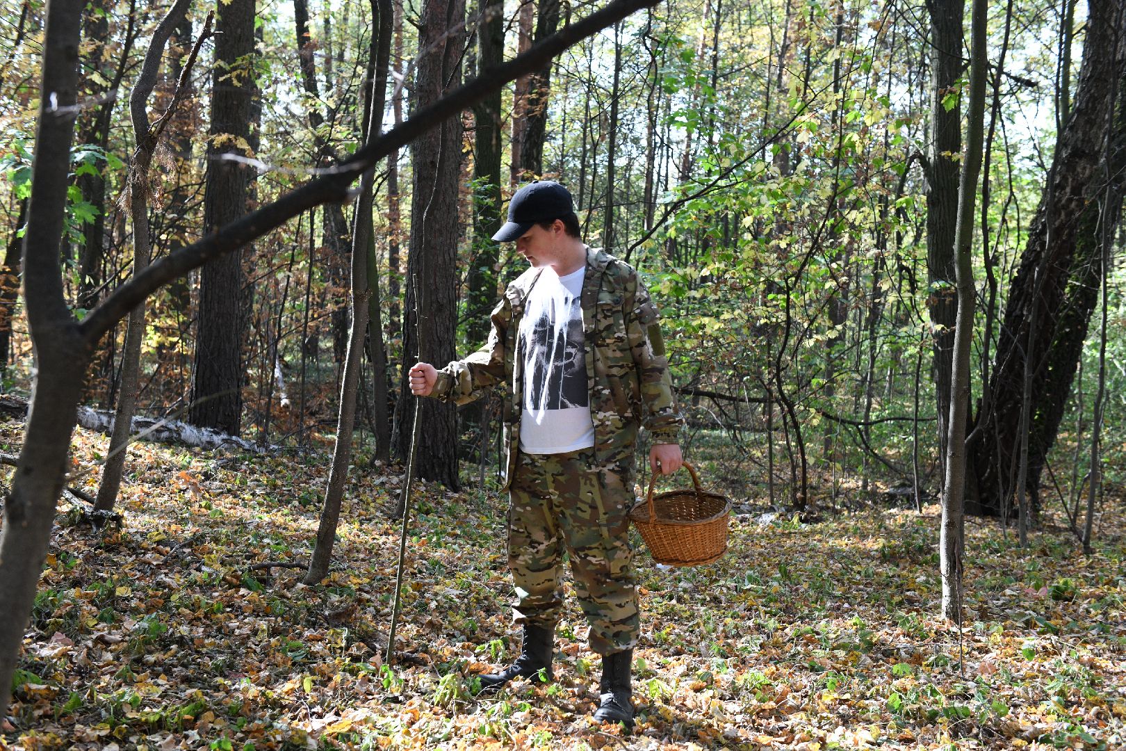 лыткарино, общество, грибы, лес, грибник,