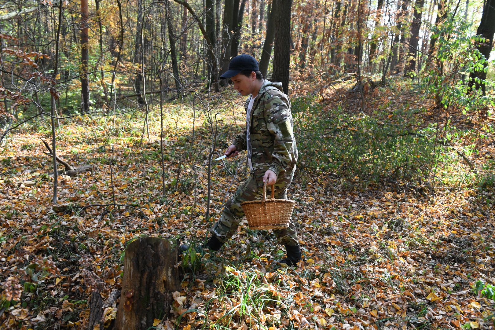 лыткарино, общество, грибы, лес, грибник,