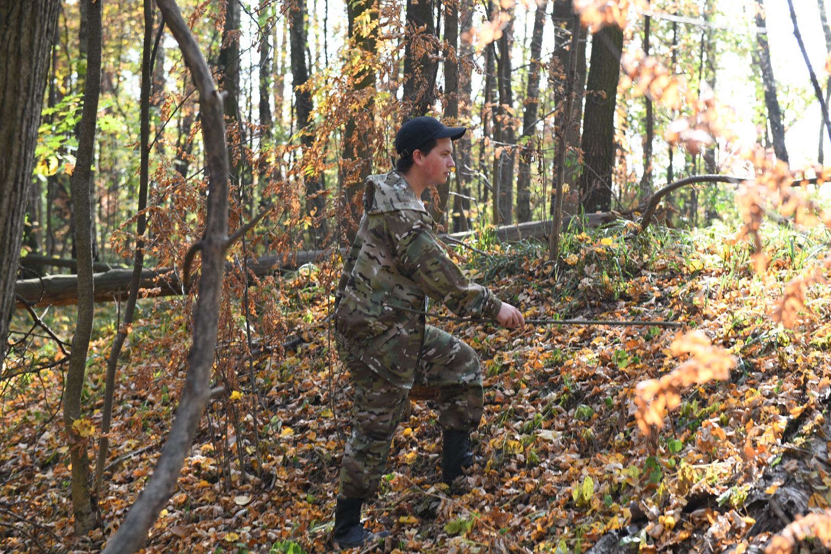 лыткарино, общество, грибы, лес, грибник,