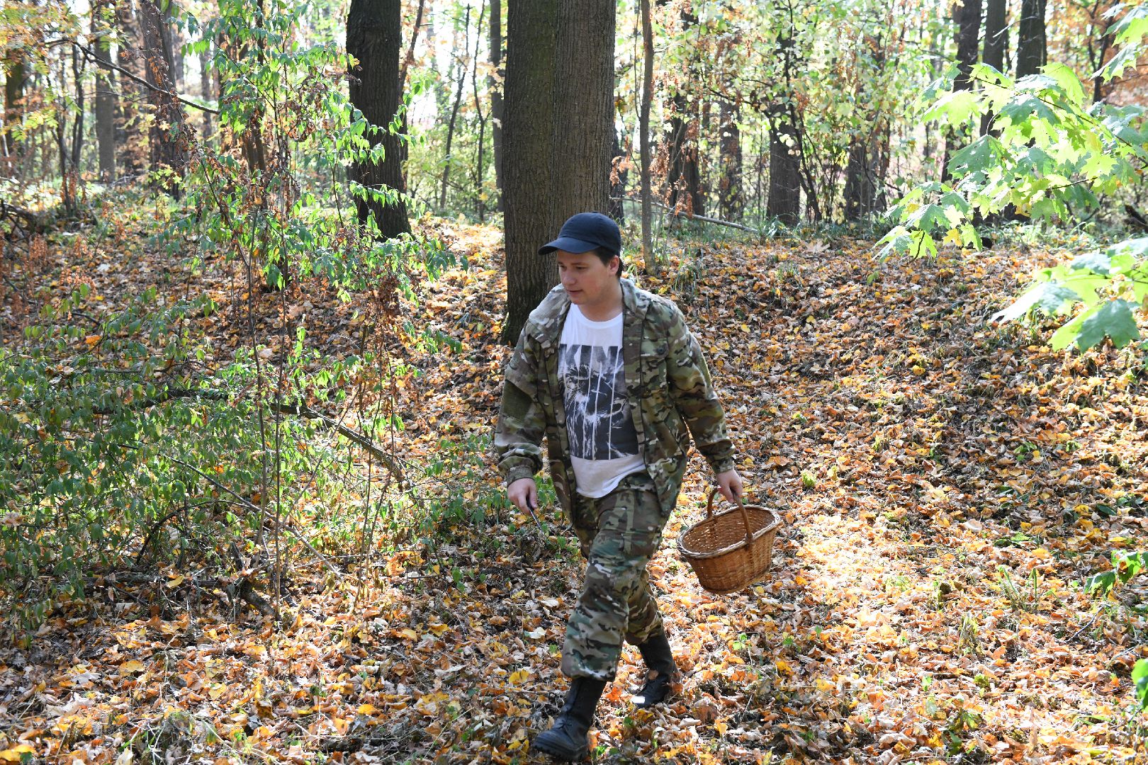 лыткарино, общество, грибы, лес, грибник,