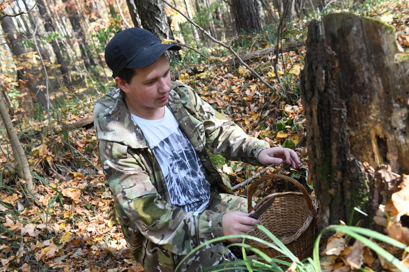 лыткарино, общество, грибы, лес, грибник,