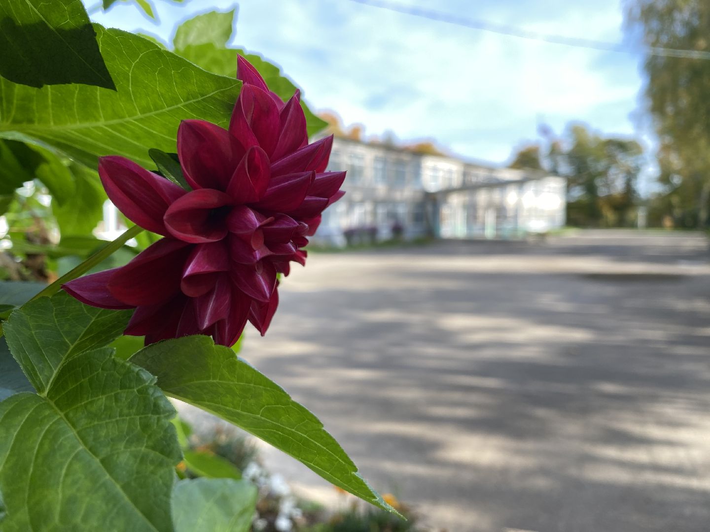 волоколамск, село болычево, школа, ученики, учителя,