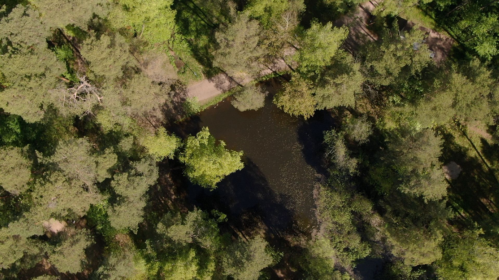 малевич, парк, одинцово,видео с коптера,