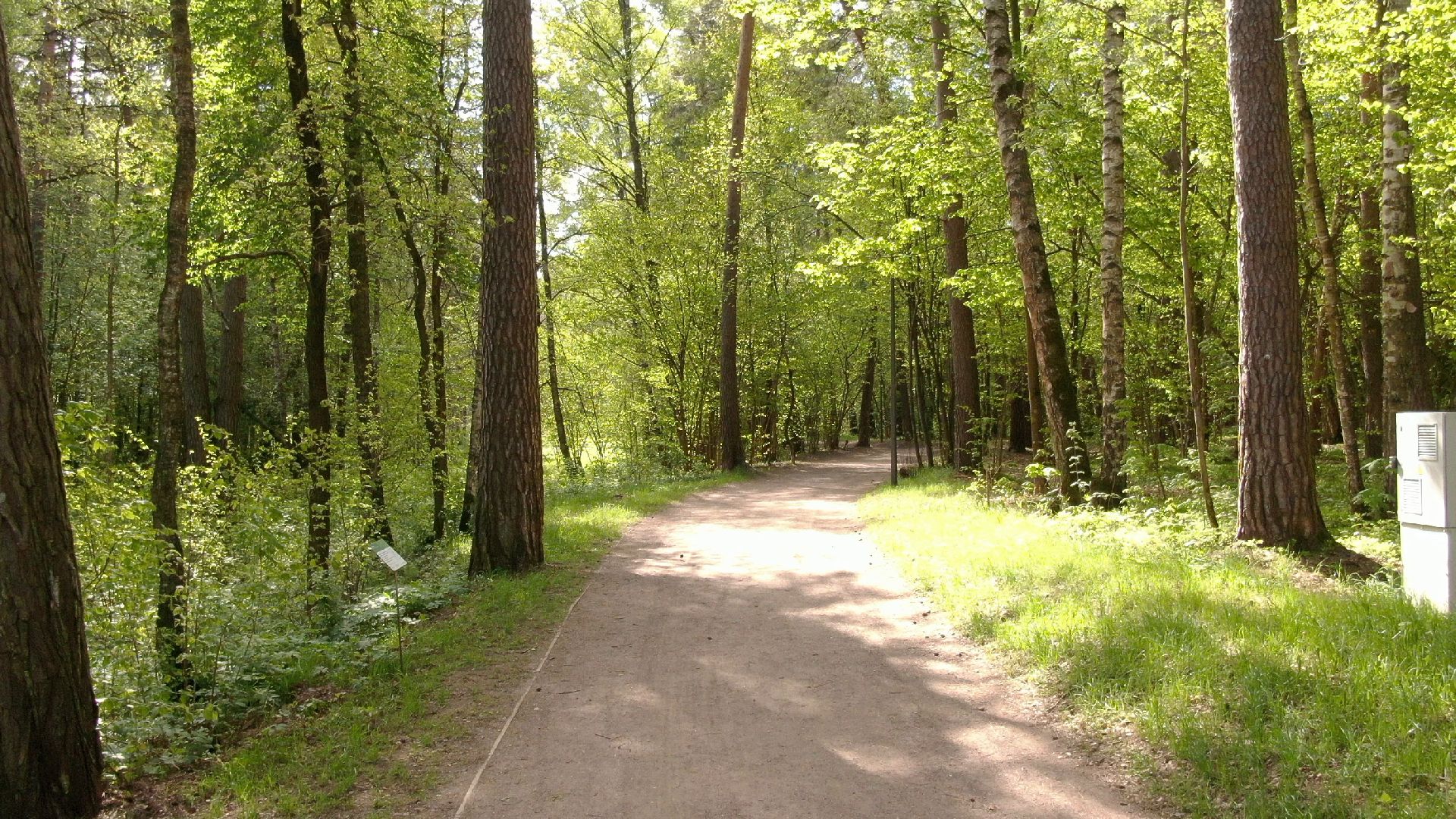 малевич, парк, одинцово,видео с коптера,