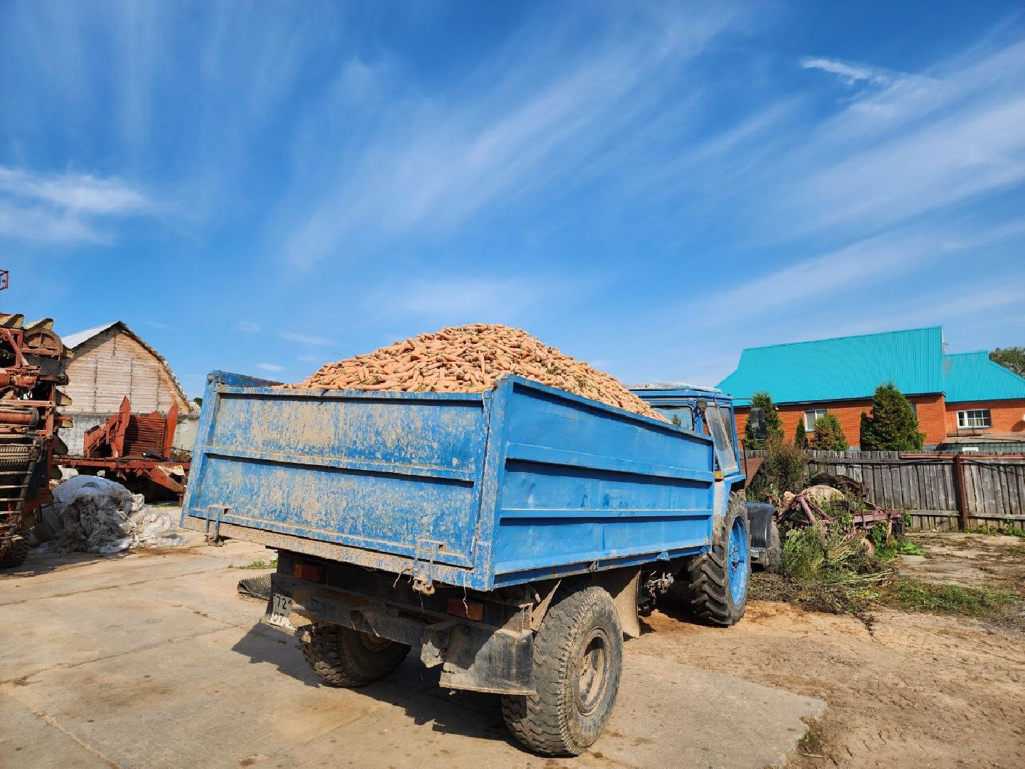 Можайск, Можайский городской округ, Подмосковье, сельское хозяйство, сбор урожая, урожай, фермеры, аграрии, морковь, картофель,