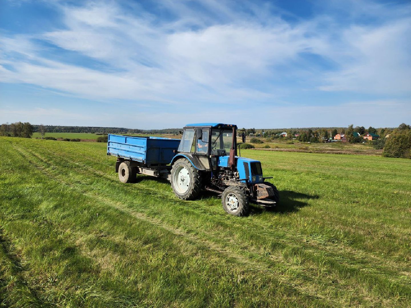 Можайск, Можайский городской округ, Подмосковье, сельское хозяйство, сбор урожая, урожай, фермеры, аграрии, морковь, картофель,