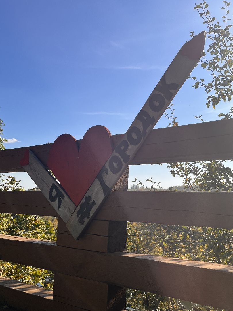 экскурсии, туризм, руза, рузский округ, московская область, подмосковье, краеведение,