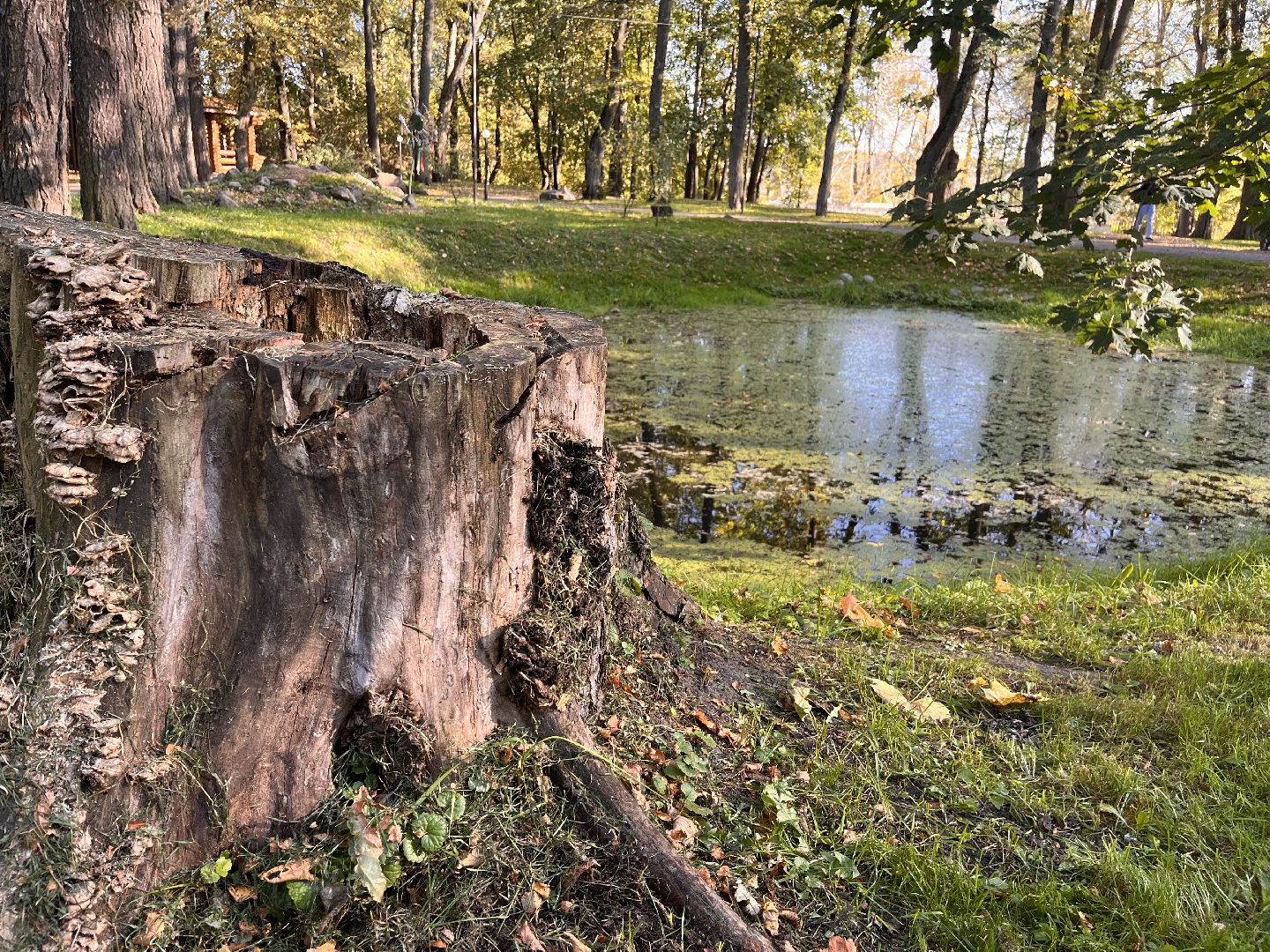 экскурсии, туризм, руза, рузский округ, московская область, подмосковье, краеведение,