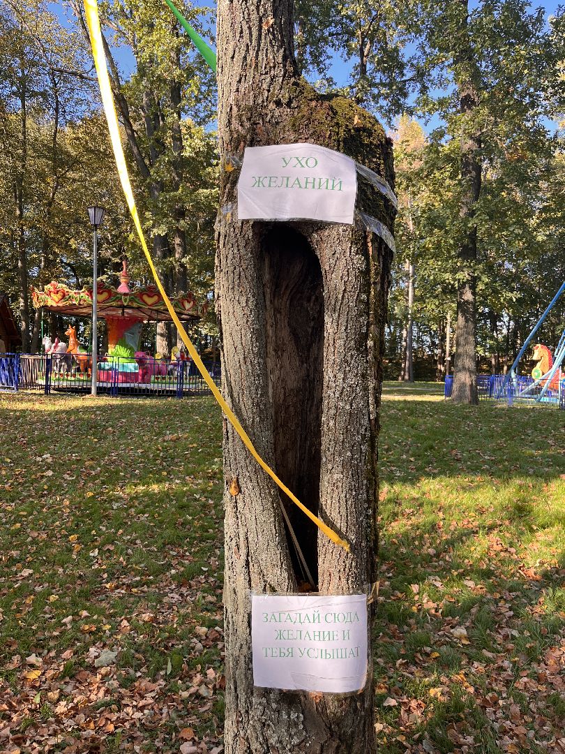 экскурсии, туризм, руза, рузский округ, московская область, подмосковье, краеведение,