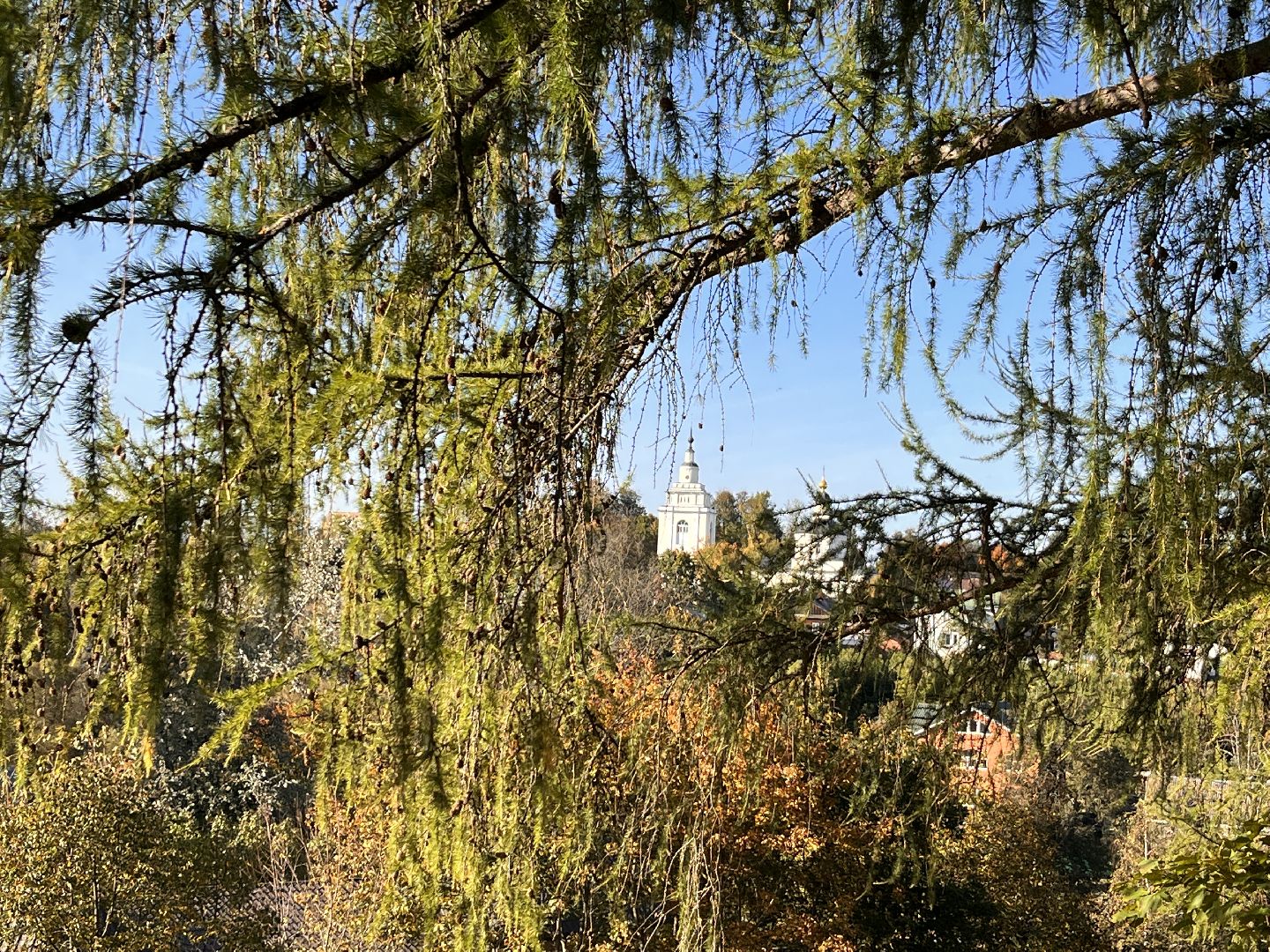 экскурсии, туризм, руза, рузский округ, московская область, подмосковье, краеведение,