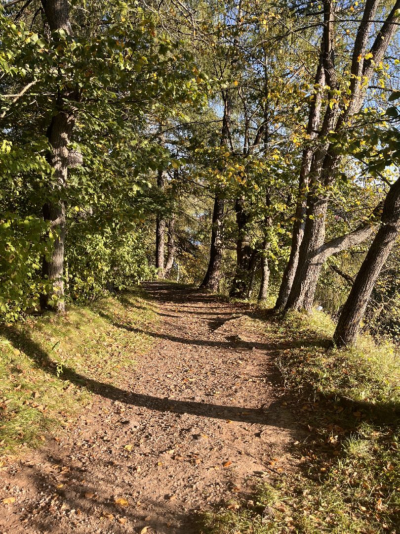 экскурсии, туризм, руза, рузский округ, московская область, подмосковье, краеведение,