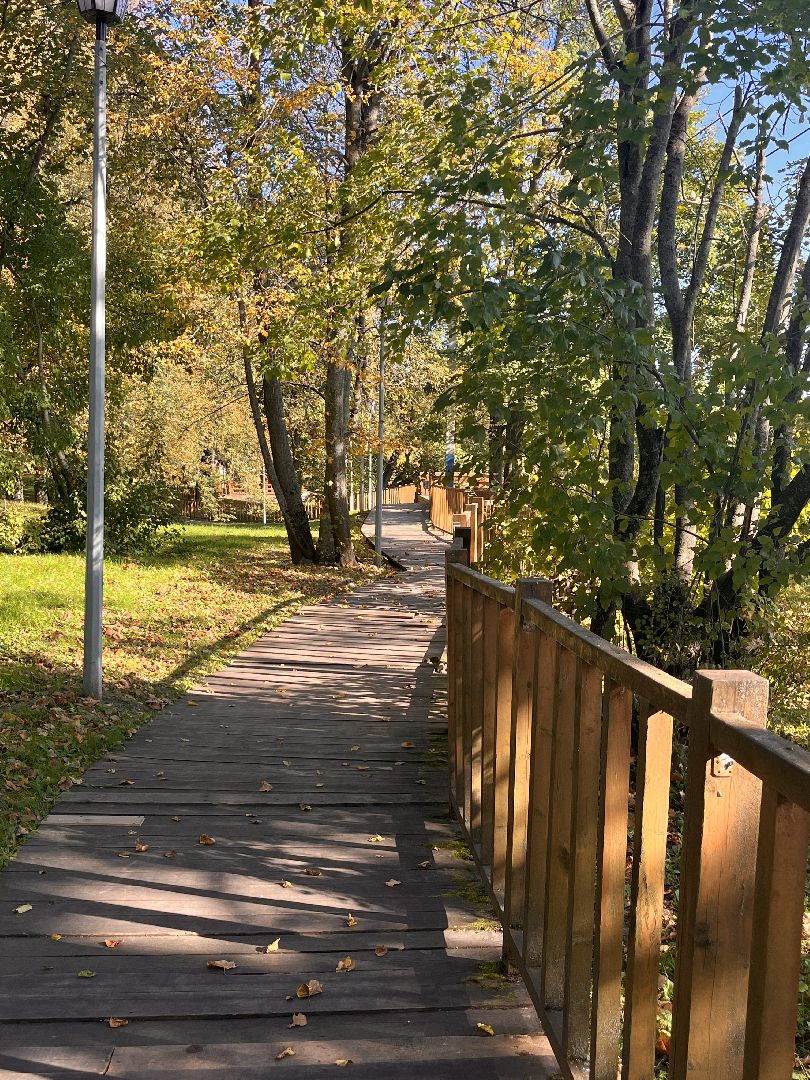 экскурсии, туризм, руза, рузский округ, московская область, подмосковье, краеведение,