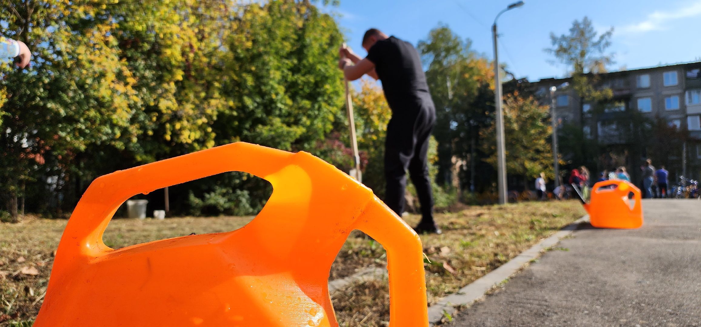 Пушкино, Мособлдума, Наш лес, Чистый лес, Городской округ Пушкинский, Кудринка, общество, экология, жители, люди,