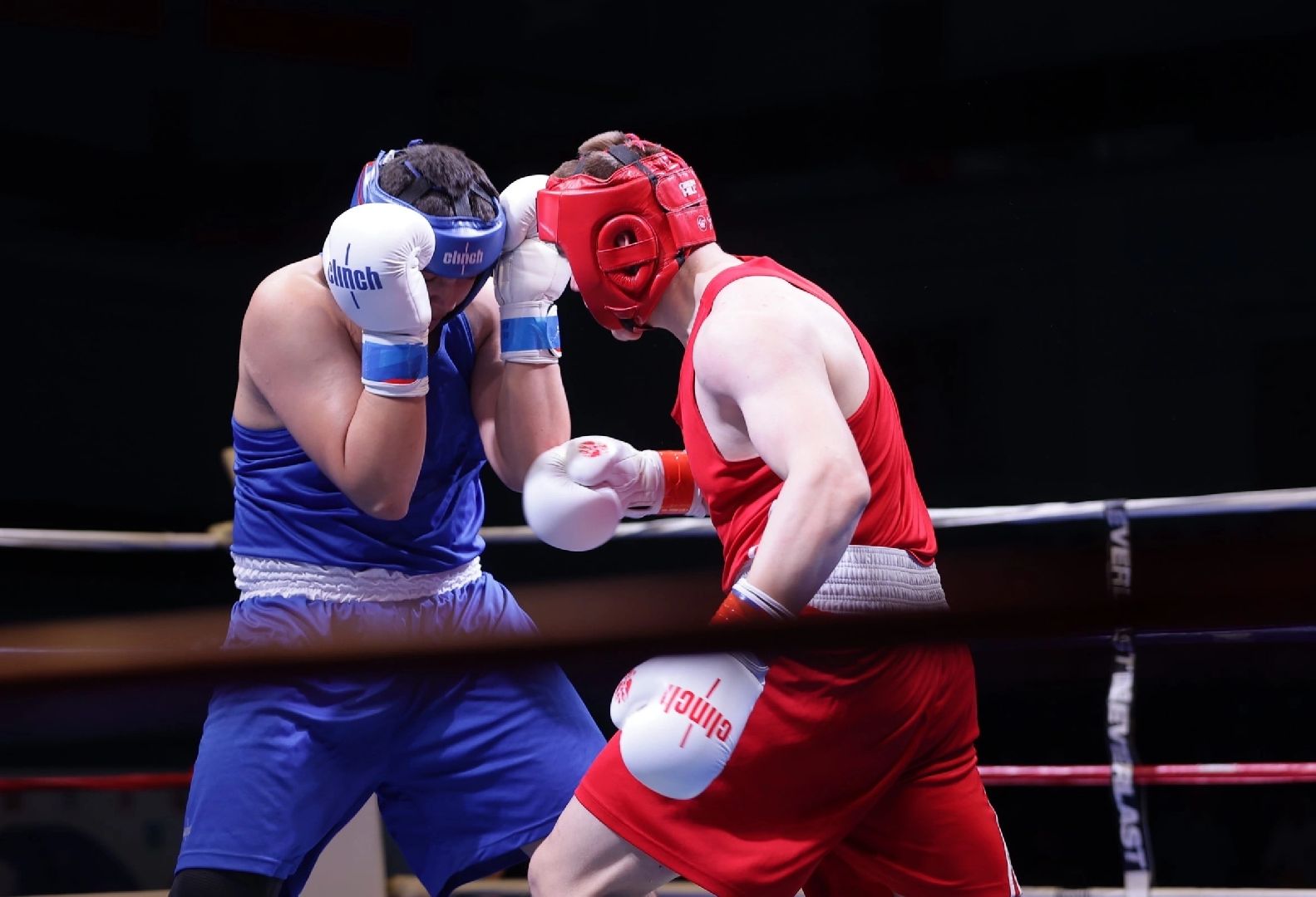 спорт подмосковья, Бокс, Чехов, Витязь, чемпионат россии, Спорт,