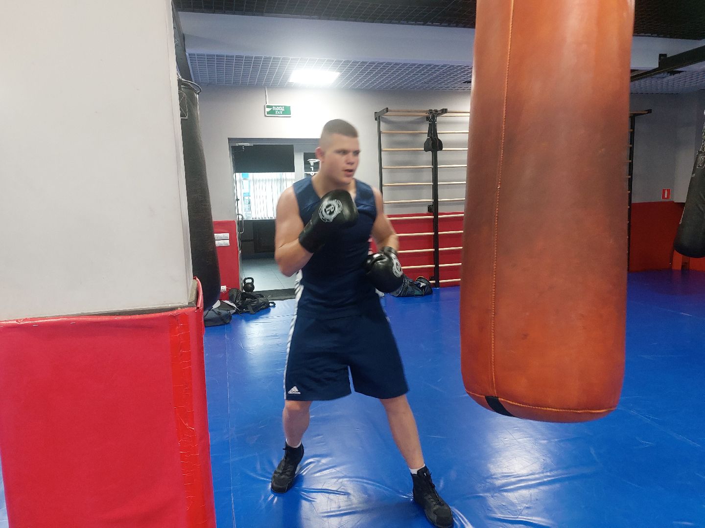 спорт подмосковья, Бокс, Чехов, Витязь, чемпионат россии, Спорт,