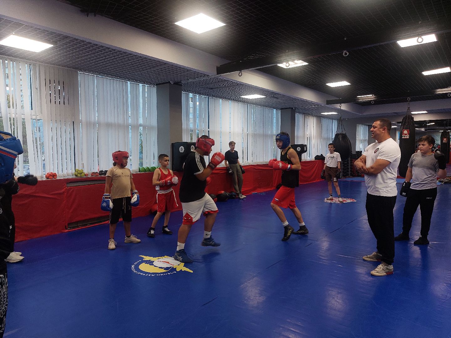 спорт подмосковья, Бокс, Чехов, Витязь, чемпионат россии, Спорт,