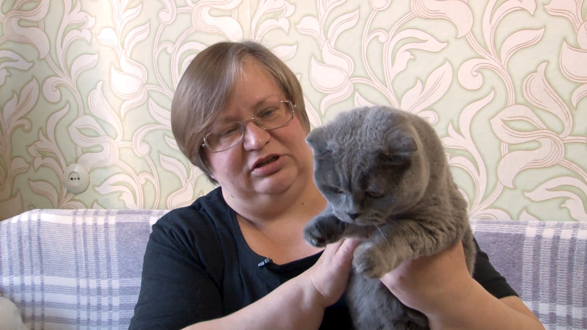 общество, коты, волонтер, помощьживотным, орехово-зуево,