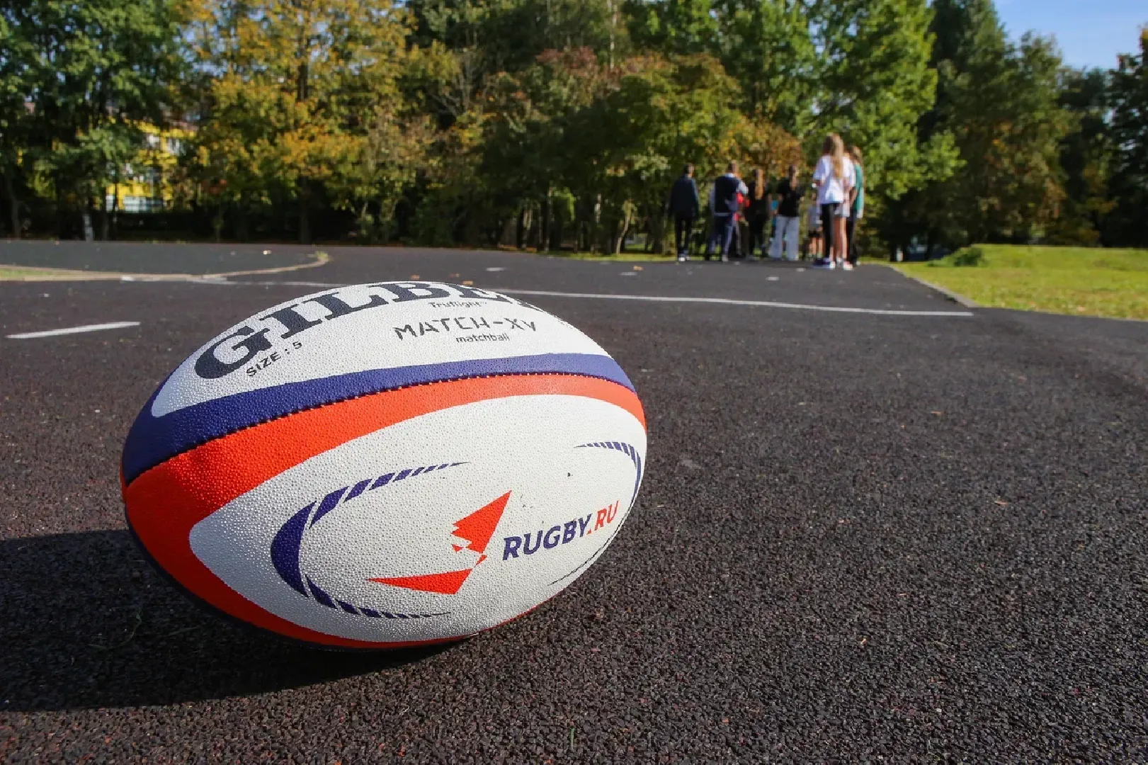 химки, спорт, школа, дополнительное образование,