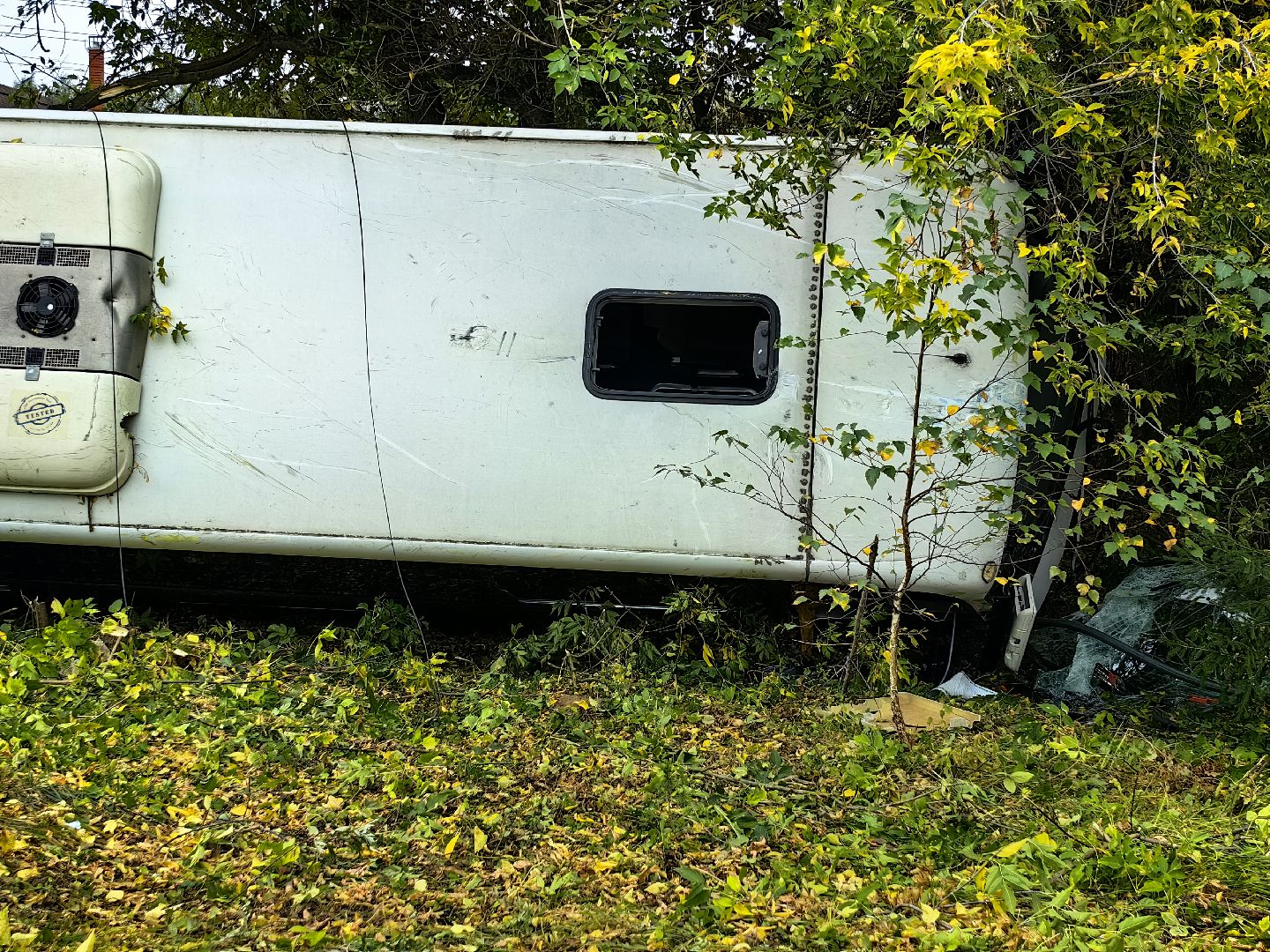 дтп, щёлково, дети,