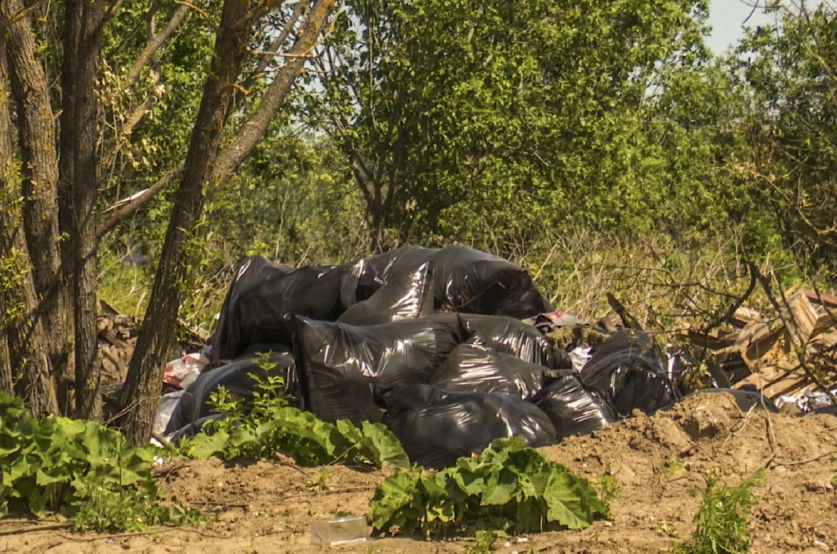 Клин, общество, экология, люди,