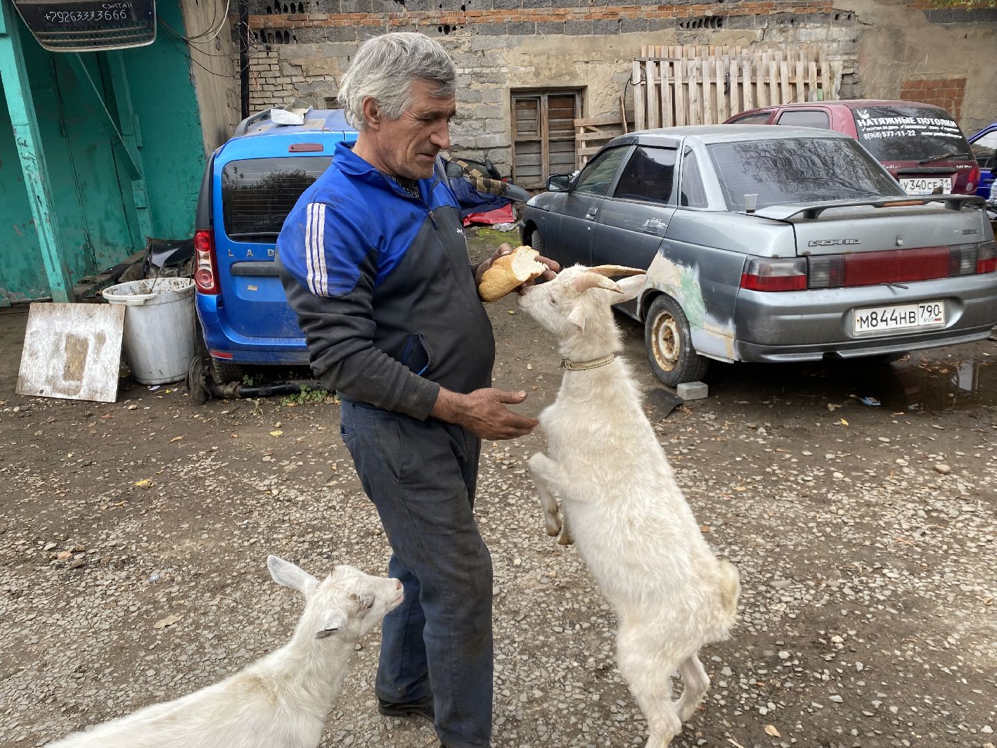 Балашиха, Гусь друг человека, Микрорайон керамик, Автосервис,