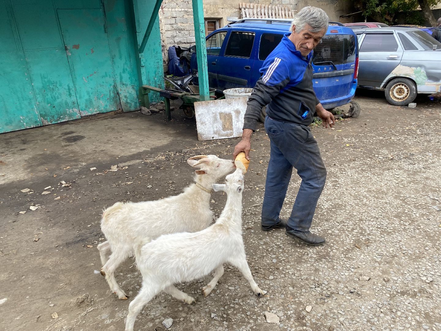 Балашиха, Гусь друг человека, Микрорайон керамик, Автосервис,